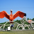 suriname01-albina.jpg