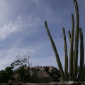 aruba-001.jpg