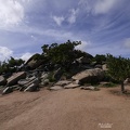 aruba-10002.jpg