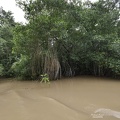 costa-rica-a137.jpg