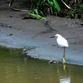 costa-rica-a153.jpg