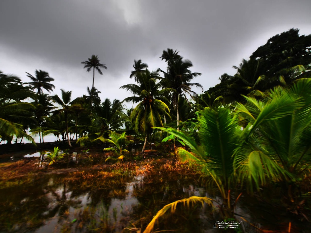 costa-rica-a197.jpg