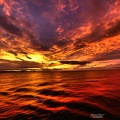 cruise-mer-a240.jpg
