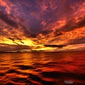 cruise-mer-a241.jpg
