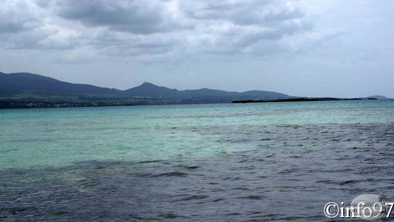 la-mangrove127.jpg