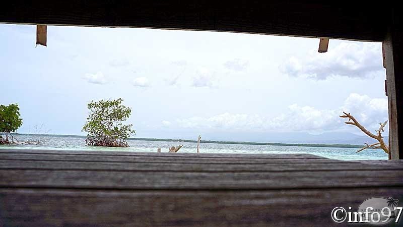 la-mangrove15.jpg