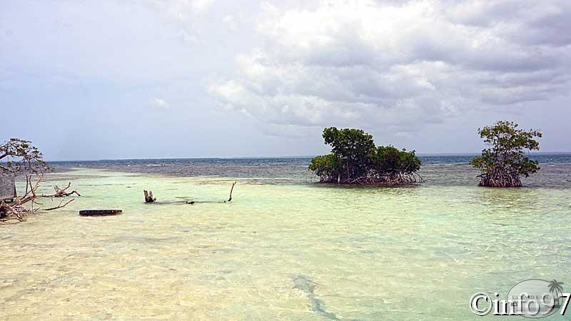 la-mangrove5.jpg