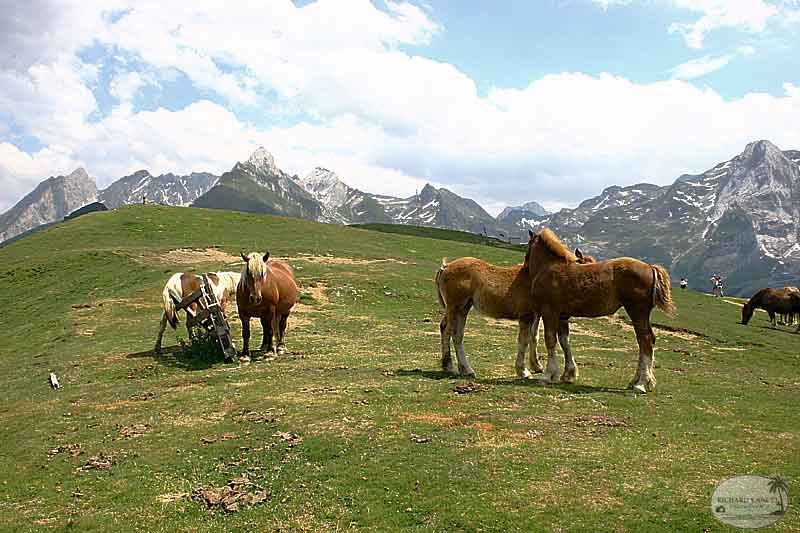 aubisque34.jpg
