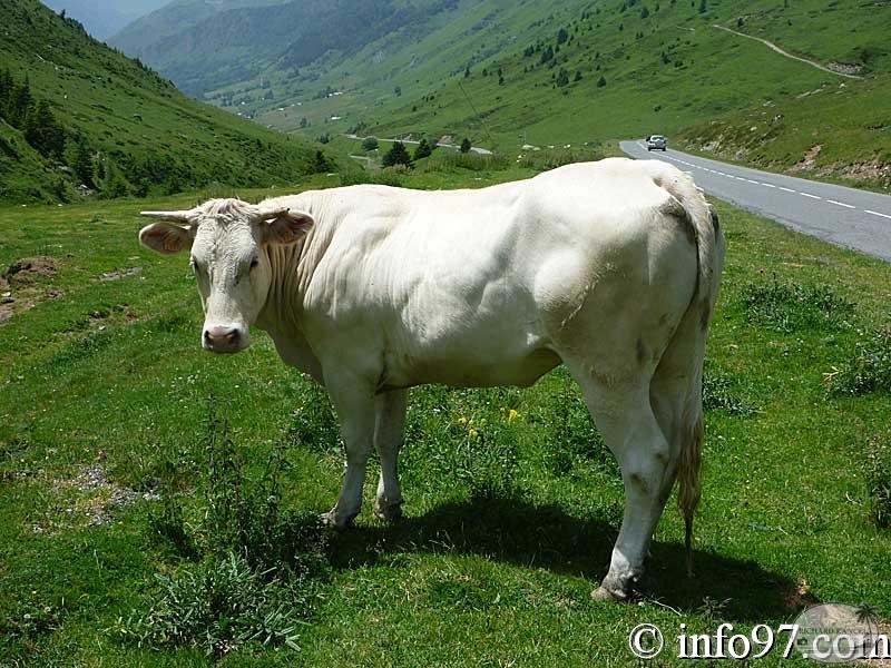 tourmalet20.jpg