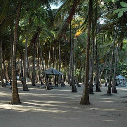 plage