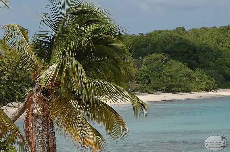 marie-galante10.jpg