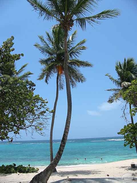 marie-galante35.jpg