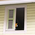 martinique10.jpg