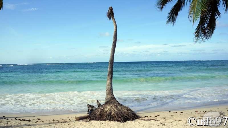 plage-saint-domingue44.jpg