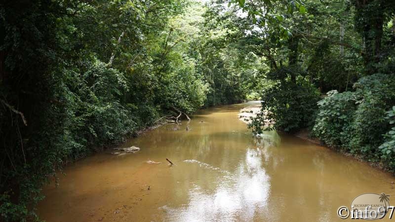 riviere-st34.jpg