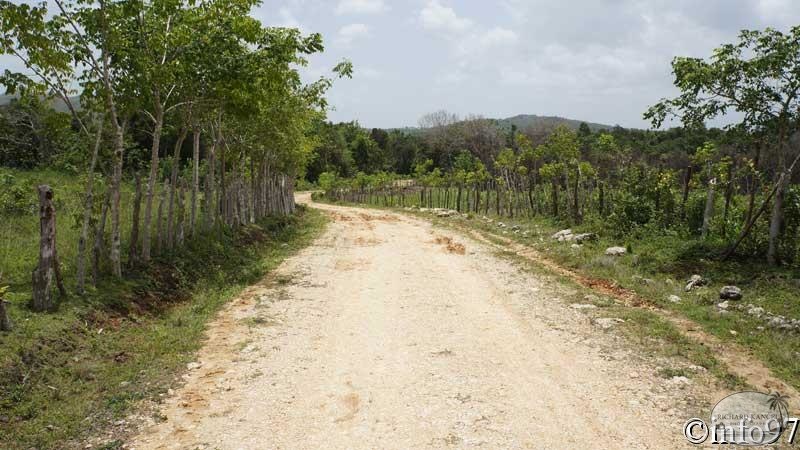 route-st-domingue18.jpg