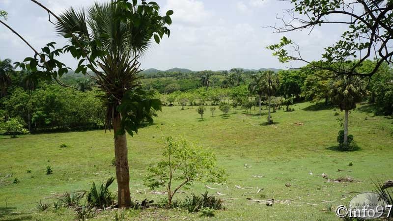 route-st-domingue9.jpg