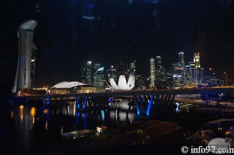 DSC05834singapour-night.jpg