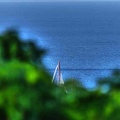 P1070132-chabaud.jpg