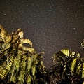 IMG_5620ciel-etoile.jpg