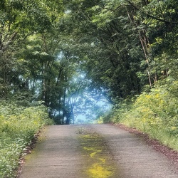 Bornave Fond Heliot Guadeloupe