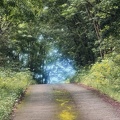 IMG_6048-bornave.jpg