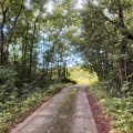 IMG_6049-bornave.jpg