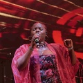 _1071145-yemi-alade-terre-de-blues.jpg