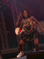  1071153-yemi-alade-terre-de-blues