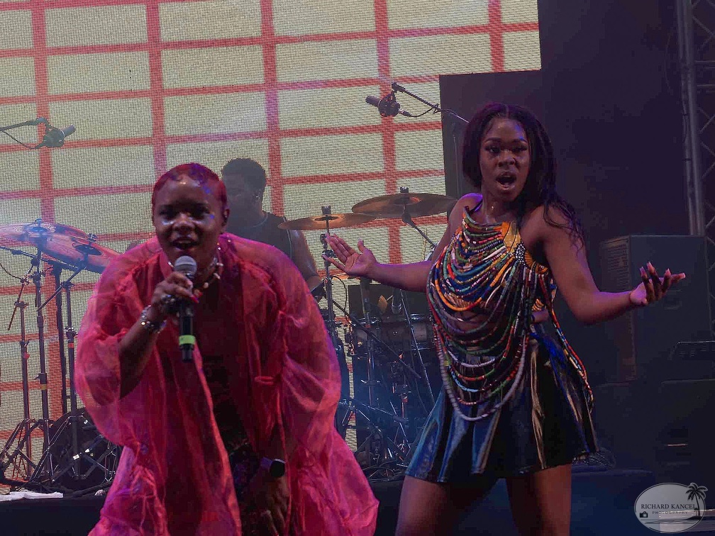 _1071210-yemi-alade-terre-de-blues.jpg