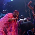 _1071233-yemi-alade-terre-de-blues.jpg