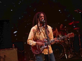  1071273-julian-marley-terre-de-blues