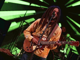  1071327-julian-marley-terre-de-blues