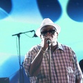_1071034-donald-ray-johnson-terre-de-blues.jpg