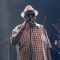 _1071075-donald-ray-johnson-terre-de-blues.jpg