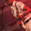 _1083859terre-de-blues1.jpg