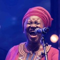 _1083932terre-de-blues1.jpg
