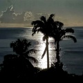 IMG_0784-lune-lune-hd.jpg