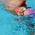 P1008755-shark.jpg