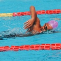 P1008770-shark.jpg