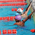 P1008801-shark.jpg
