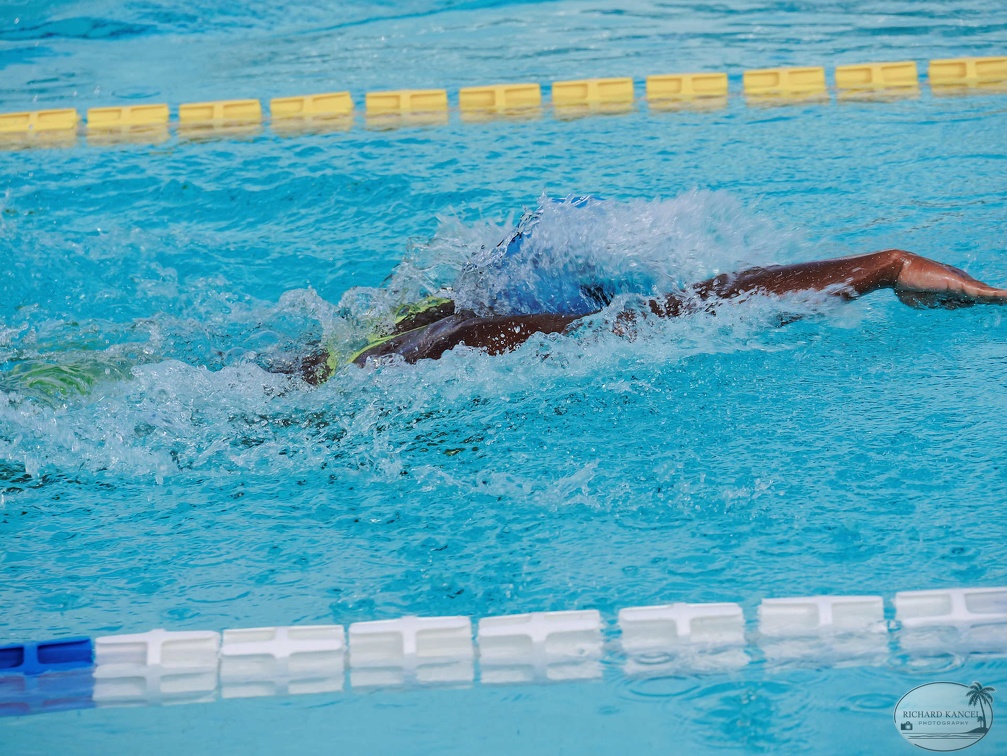 P1008876-shark.jpg
