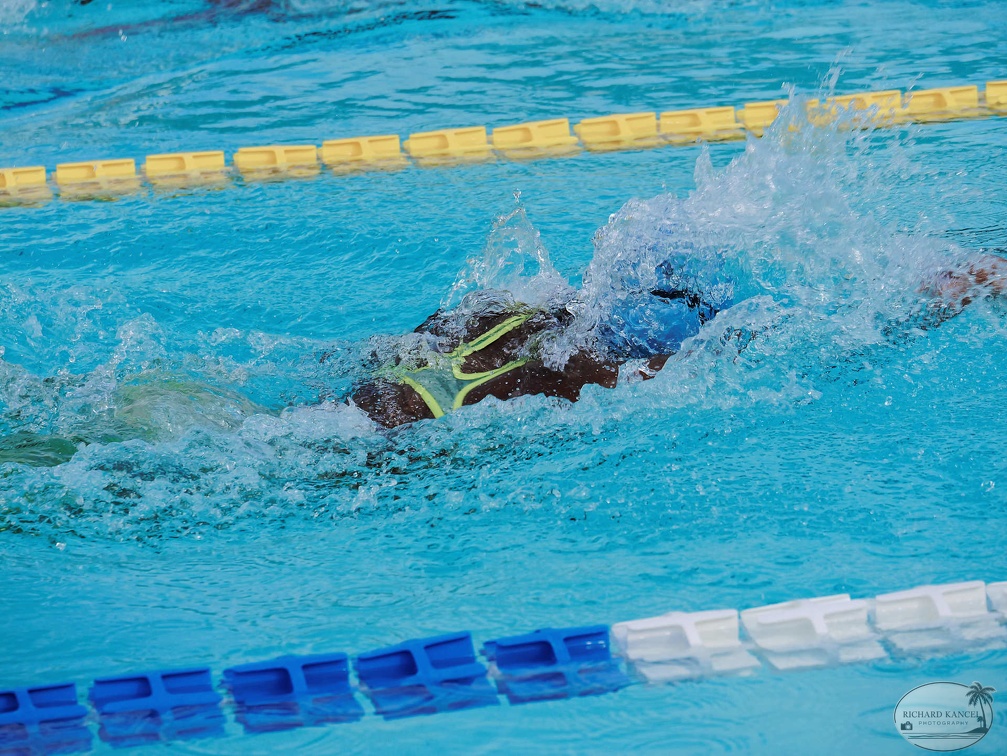 P1008877-shark.jpg