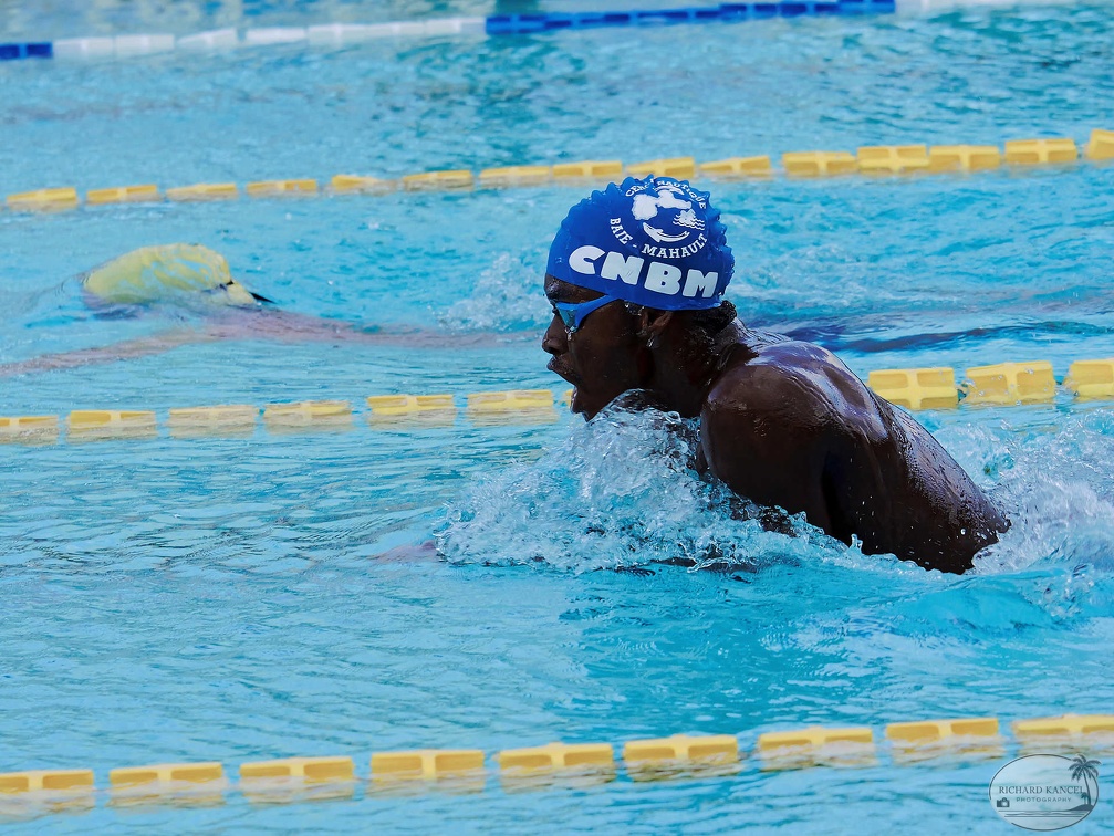P1008912-shark.jpg