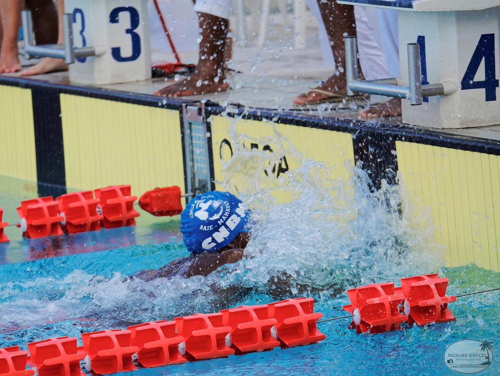 P1008930-shark.jpg