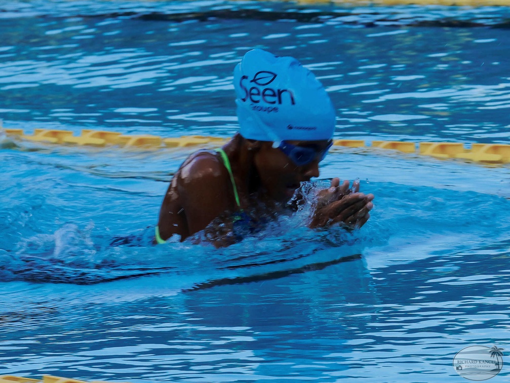 P1008942-shark.jpg