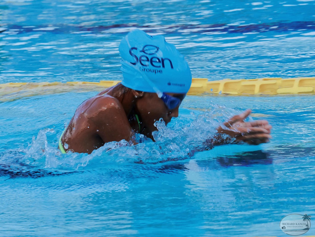 P1008943-shark.jpg