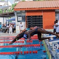 P1008982-shark.jpg