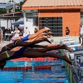 P1008995-shark.jpg