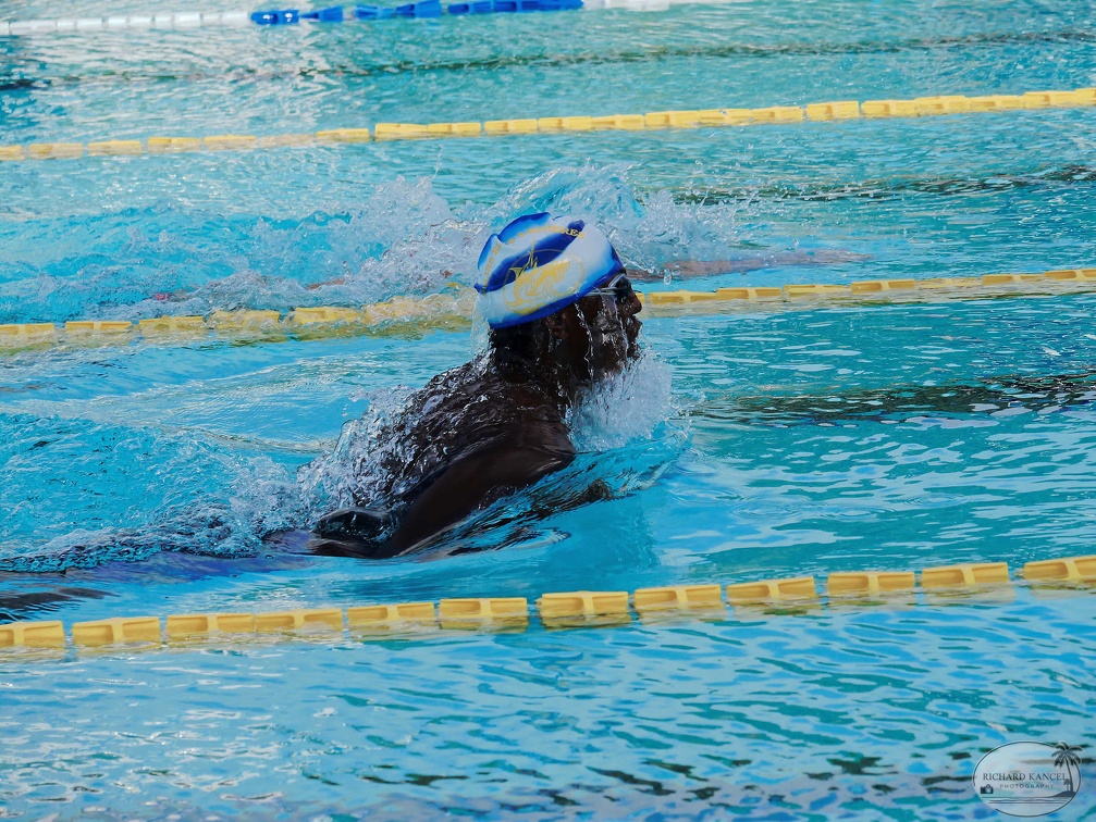 P1009110-shark.jpg